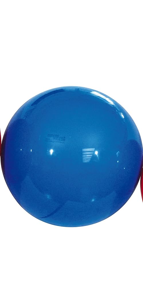 gymnic Physio Gymnic バランスボール 最大95cm Physio Gymnic Balls – KETTLER USA